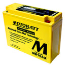 YAMAHA EX 570 EXCITER [1988-1990] - Powersport Quadflex AGM Batterie MB16AU