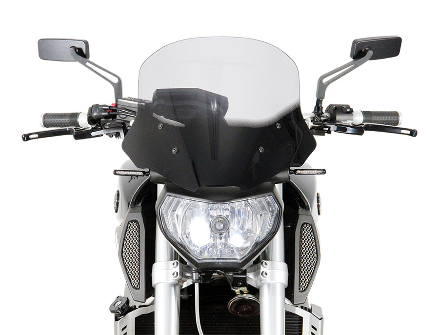 Yamaha MT-09 / FZ-09 [2014-2016] -levy "NTM"