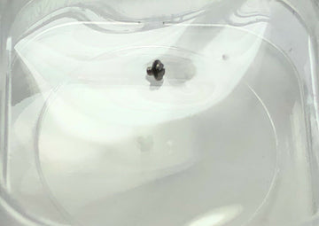 ROLEX 17014 17013 - Kaliber 5035 - 6004 Werkhalteschraube Schraube Werk