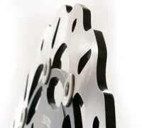 Triumph Sprint 955 RS [2000-2001] - brake discs – picture 9