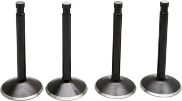 Harley Davidson FX Shovel [KIBBLEWHITE] – Black Diamond™ -moottoriventtiilisarja