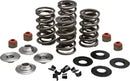 Harley-Davidson FLHTCSE 1690 EFI Electra Glide Screamin Eagle [2004] - Endurance Beehive valve spring set for Screamin' Eagle heads - picture 9