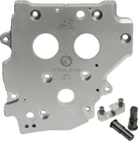 Harley-Davidson FLSTSCI 1450 EFI Softail Springer Classic [2005] - OE+ camshaft plate - type: chain - picture 3