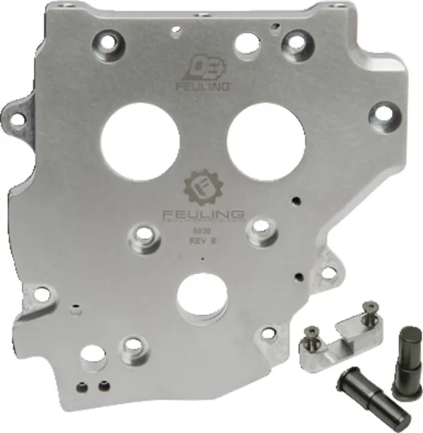 Harley-Davidson FLHRI 1450 EFI Road King [2001] - OE+ camshaft plate - type: chain - picture 2