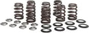 Harley-Davidson FXLRST 1923 Softail Low Rider ST 117 H.O. [2026] - High Load Beehive® spring set – picture 8