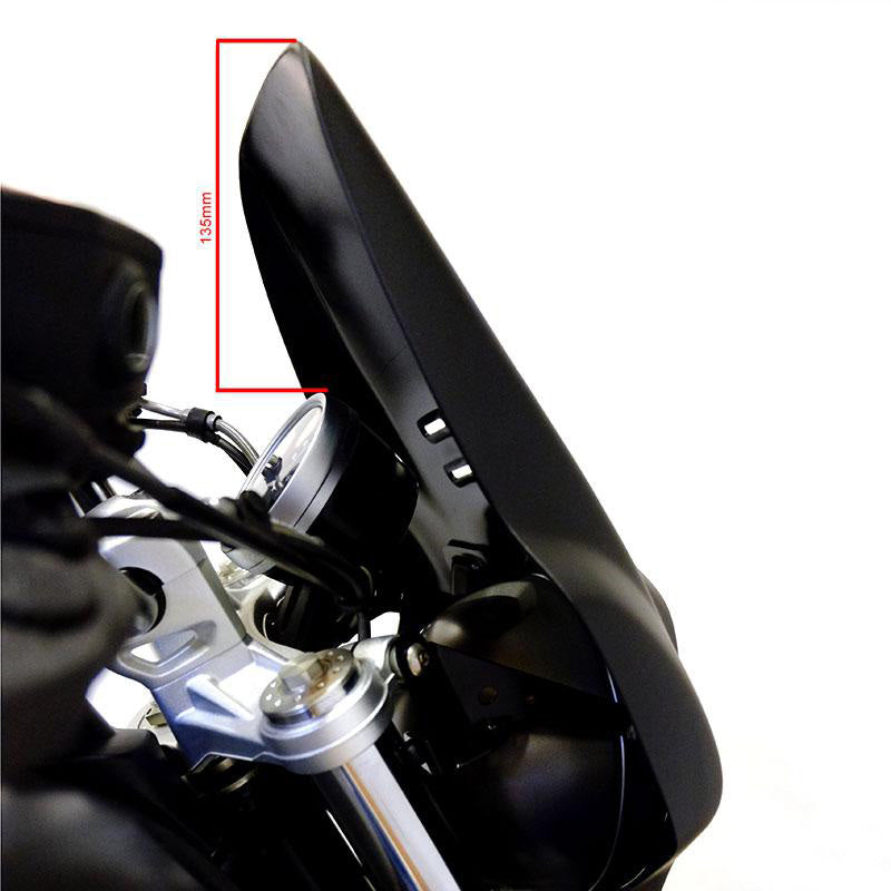 BMW R nineT 1200 Pure [2017-2023] - Fenouil -Pure