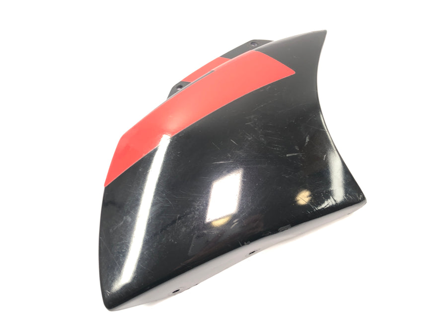 Aprilia RSV 1000 RP Mille [2001] - Etusuoja vasen