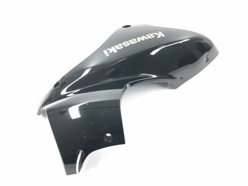 Kawasaki Versys KLE 650 A [2006] - Etuvaippa oikea etuvaippa - 0