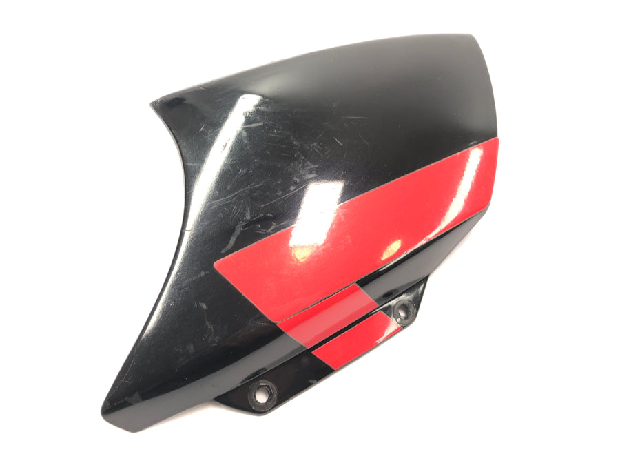 Aprilia RSV 1000 RP Mille [2001] - Etusuoja vasen