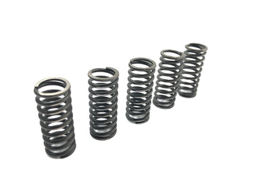 Suzuki RM Z 250 RJ41A [2007] - Kytkinjousijousisarja kytkimen painejouset