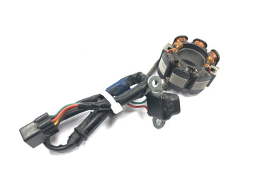 Suzuki RM Z 250 RJ41A [2007] - Staattorin generaattorin sytytyspuolan noukin laturi - 0