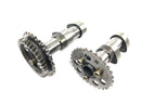 Aprilia Mille RSV 1000 ME [1999] - Nockenwelle Nockensatz Steuerwelle Camshaft Set hinten-3