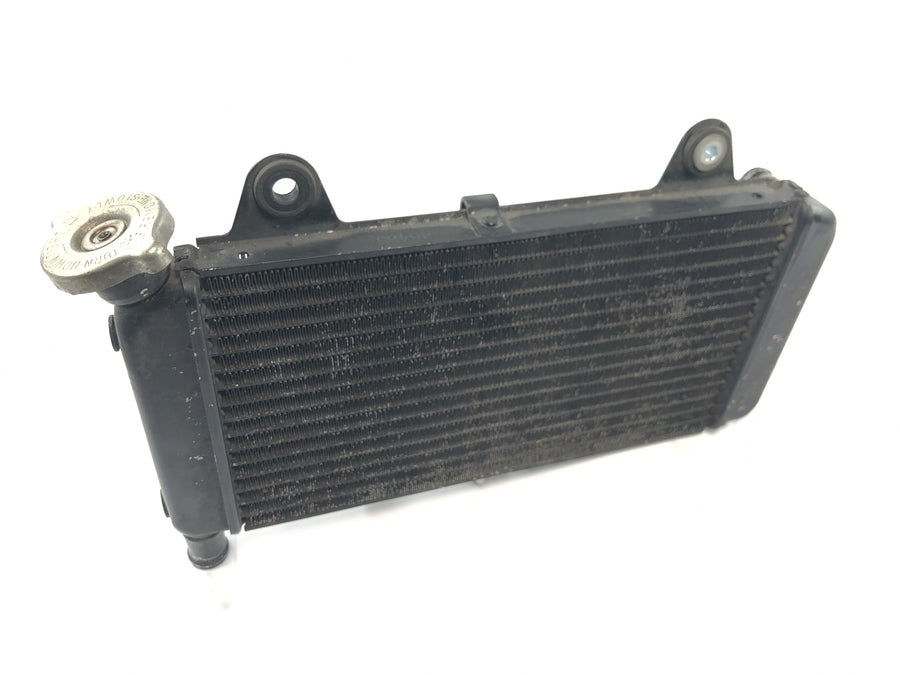 Yamaha MT 03 RM02 [2007] - Kühler Wasserkühler Motorkühler Kühlsystem Radiator