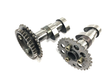 Aprilia Mille RSV 1000 ME [1999] - Nockenwelle Nockensatz Steuerwelle Camshaft Set hinten