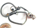 Ducati GTV 500 - Ignition Impulse -palveluntarjoaja-3