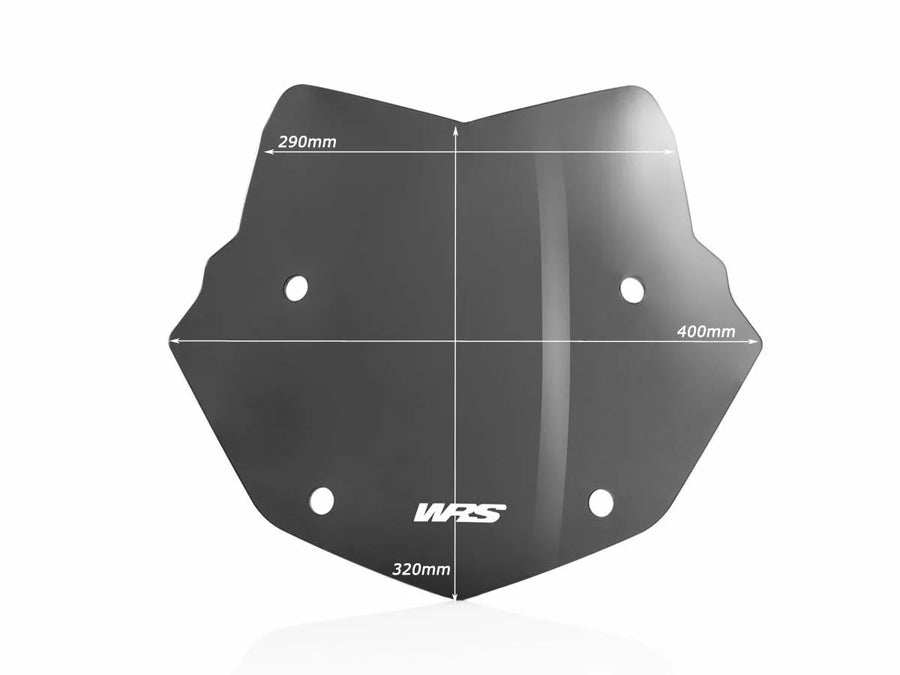 BMW R 1200 R [WRS] - windshield