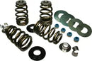 Buell S 3 T Thunderbolt 1200 [1996] - Endurance Beehive® valve springs with titanium spring plates - picture 4