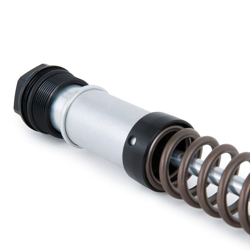 BMW R nineT 1200 Pure [2017-2023] - Öhlins NIX 22 mm Gabelkartusche (2017-2023)