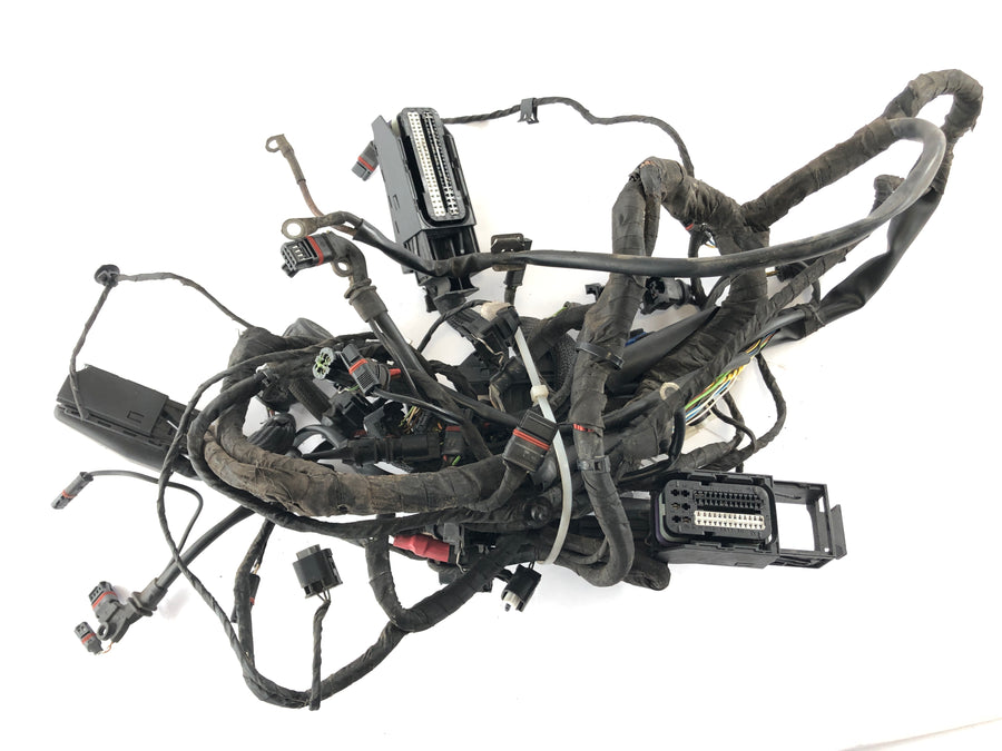 BMW F 800 ST [2006] - Johtosarja